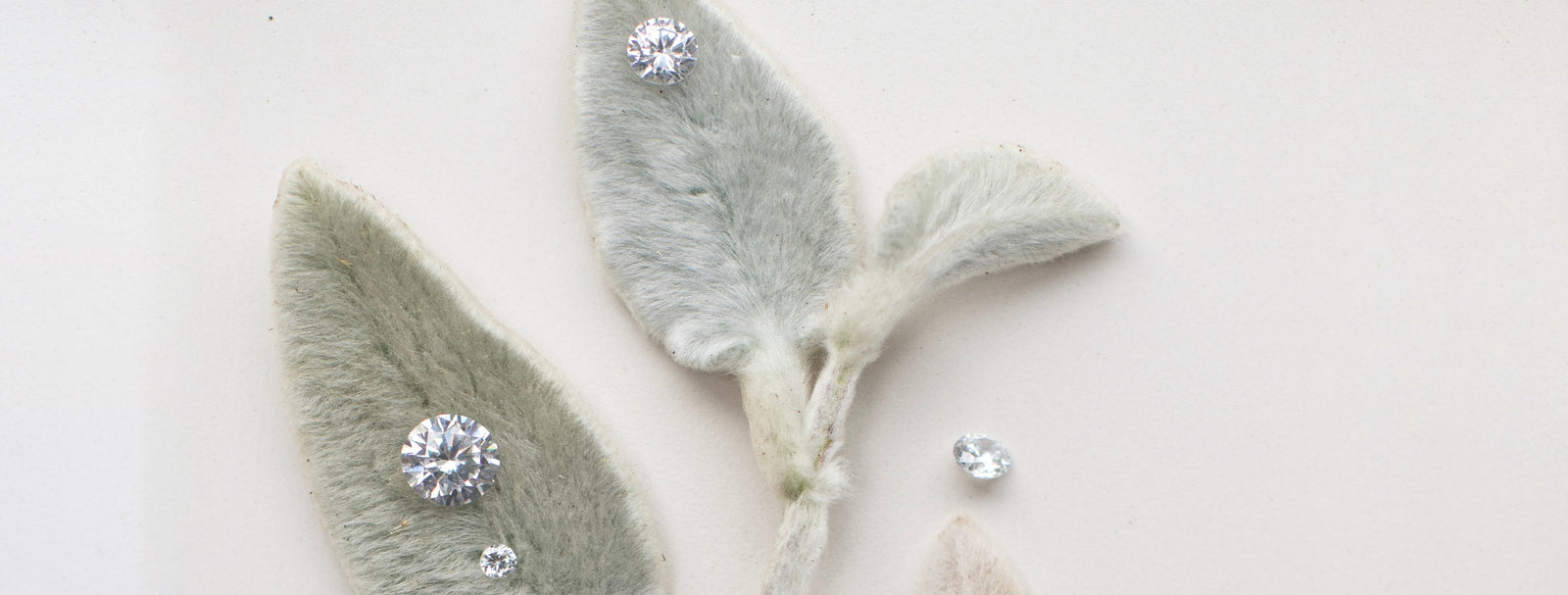 Taking Customer Service to Another Level: Introducing the 5th C - CARE