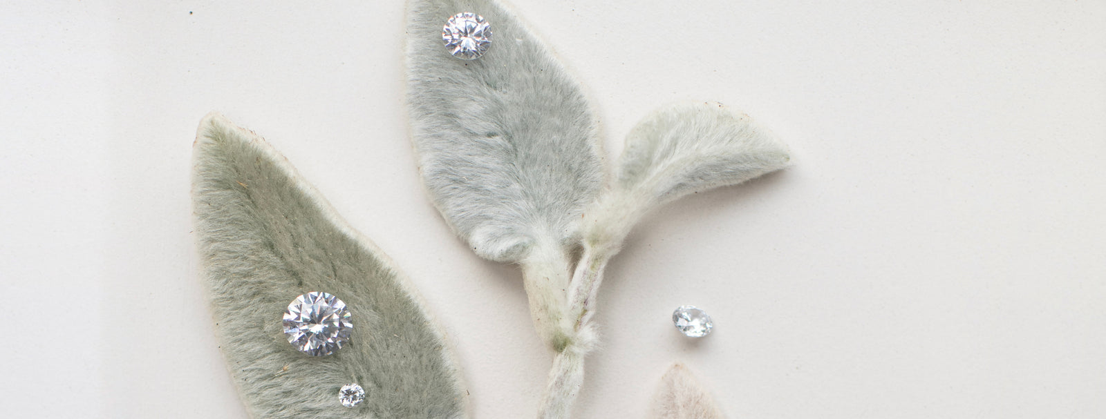 Taking Customer Service to Another Level: Introducing the 5th C - CARE